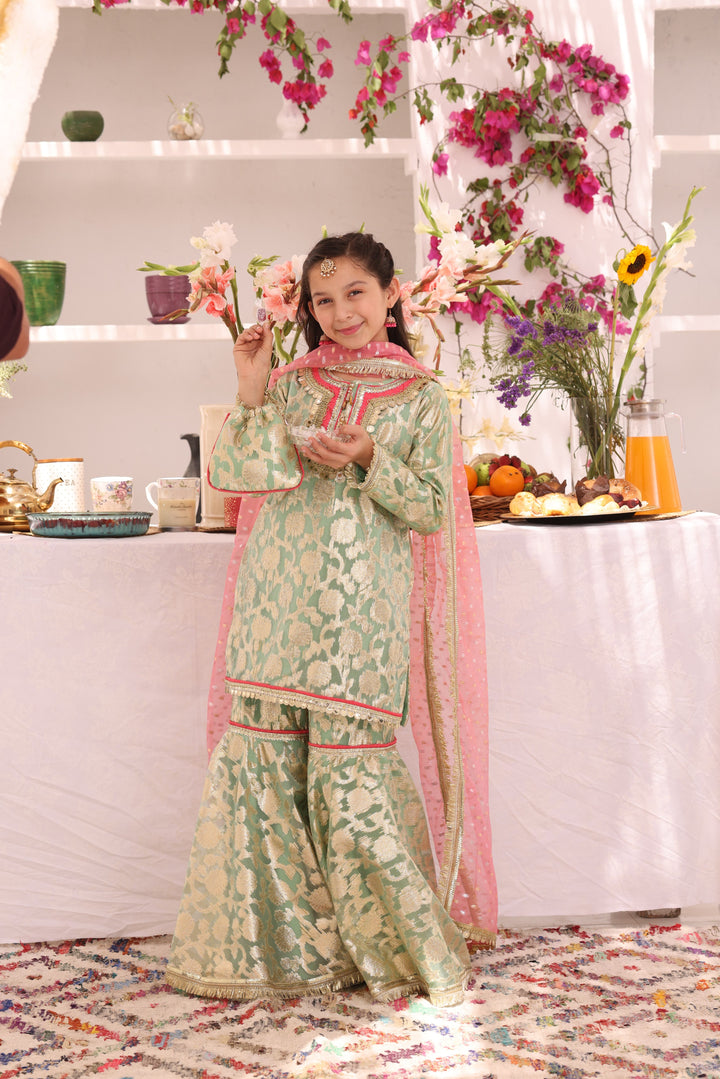 Organza Lorex Gharara Suit Pista - Sana's