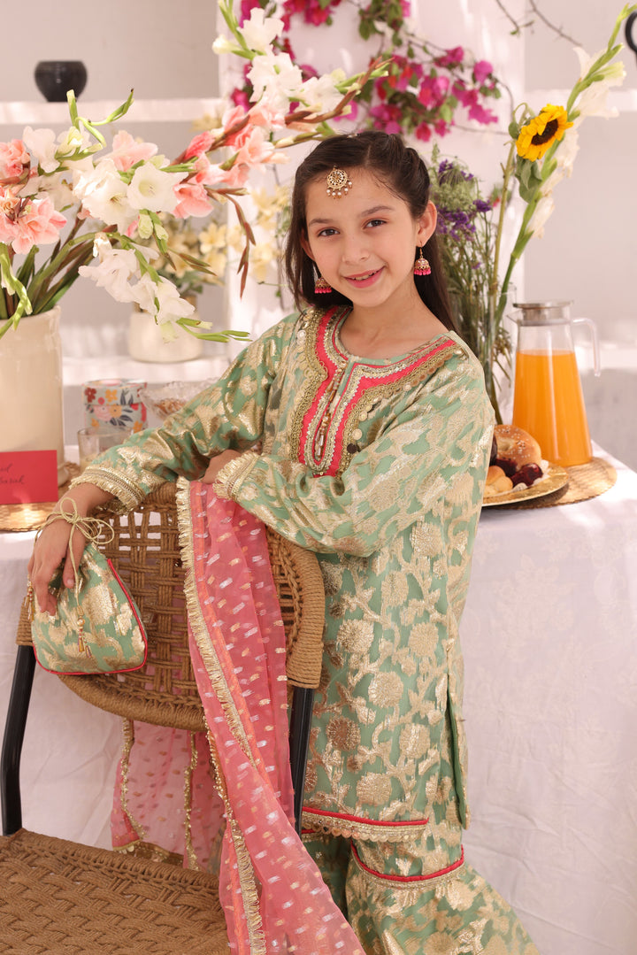 Organza Lorex Gharara Suit Pista - Sana's