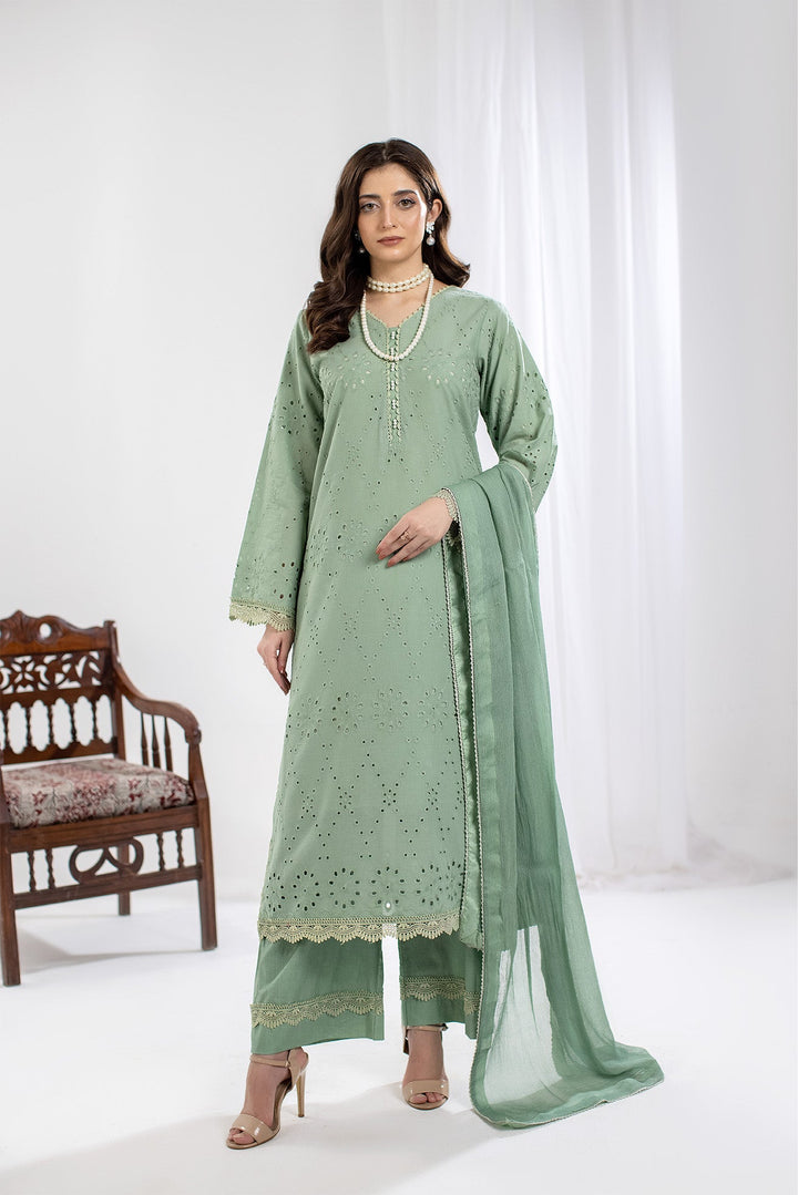 Chikenkari Pista Stitched Suit - Raqsam