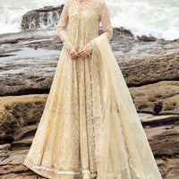Aroohi - Afrozeh Dastangoi Stitched Collection