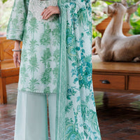 Lawn Light Green Stitched Suit - Almirah