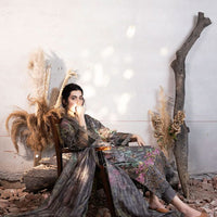 Design 3B - Sobia Nazir Stitched Fall Edit 2024