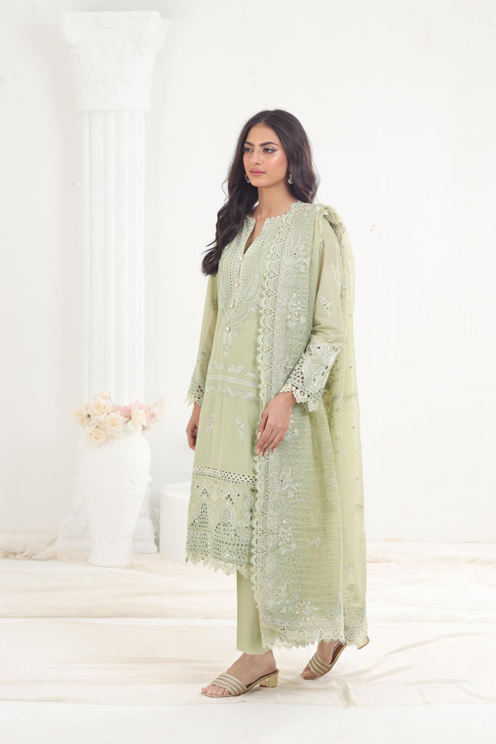 Celadon - Afrozeh Chikankari Lawn Stitched