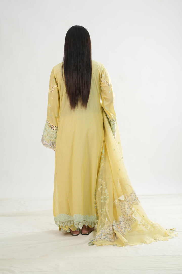 Ayla - Qalamkar Chikankari Eid Edit Stitched