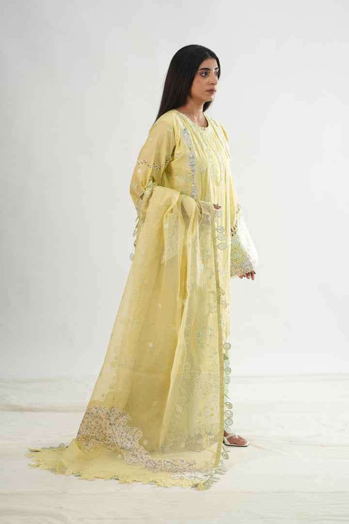Ayla - Qalamkar Chikankari Eid Edit Stitched