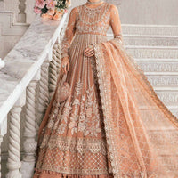 Design 4 - Maria B Embroidered Luxury Collection