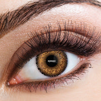 Two Tone Honey Eye Accessories