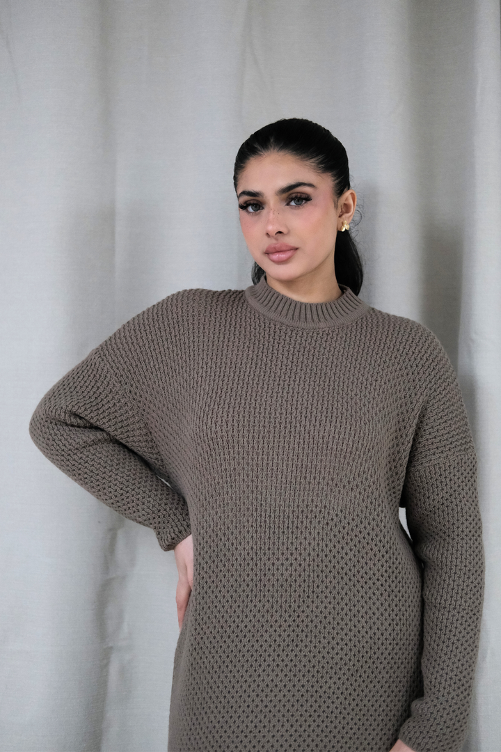 Alma Mocha Knit Dress