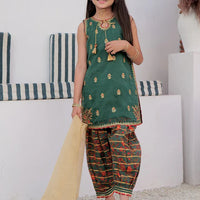 Cotton Digital Print By Organza Green Stitched Suit - Senorita