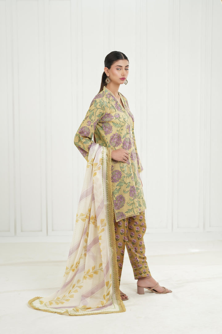 Mireya 5B - Zara Shahjahan Coco Drop III Stitched