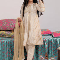 Banarsi Shimmer & Organza Tissue Fawn & Gold Stitched Suit - Senorita