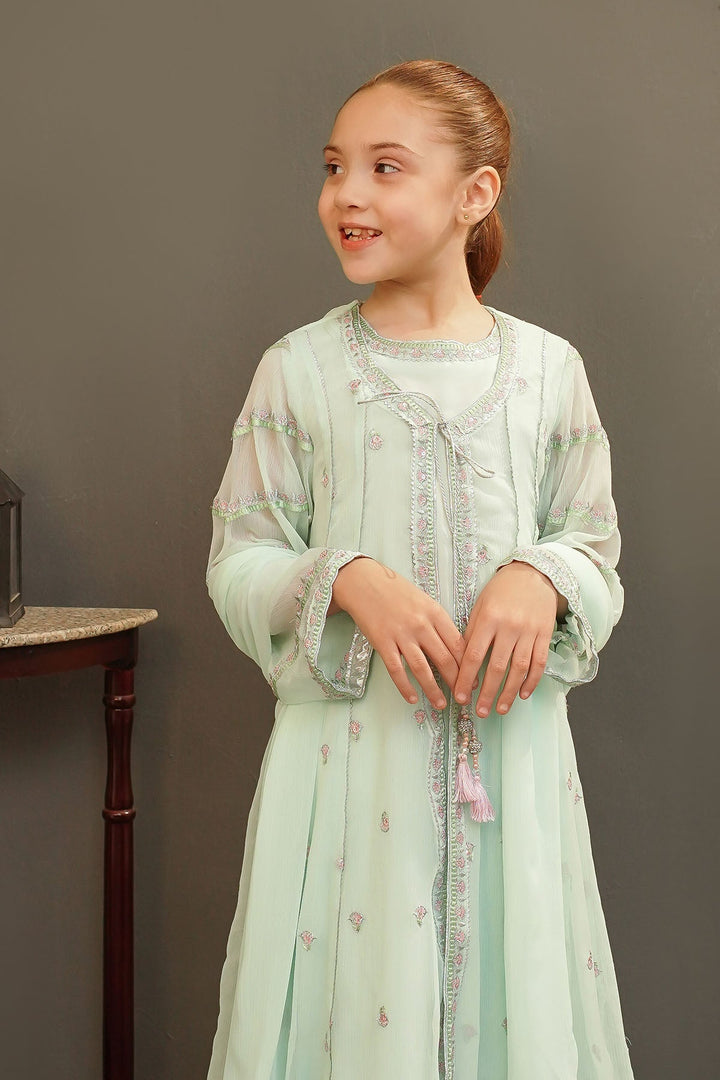 Chiffon Embroidered Mint Stitched Suit - Ochre