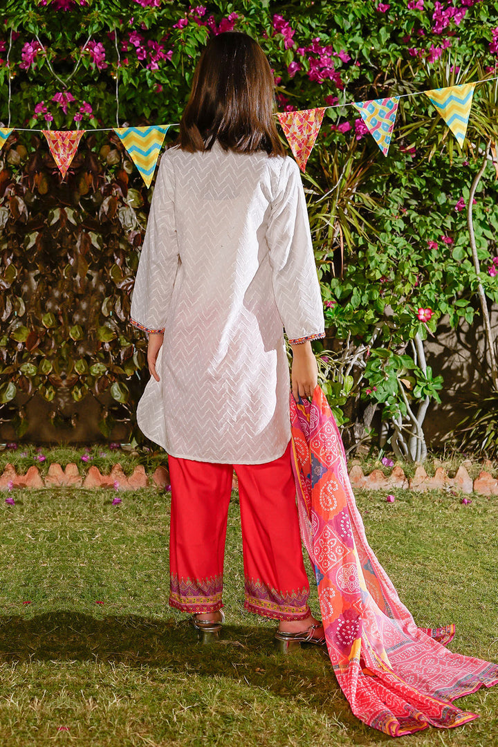 Chikankari Embroidered White Stitched Suit - Ochre