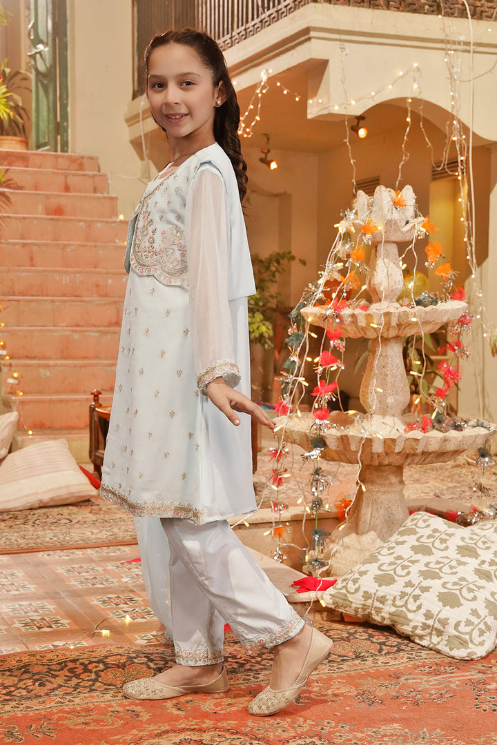 Chiffon Embroidered Blue Stitched Suit - Ochre