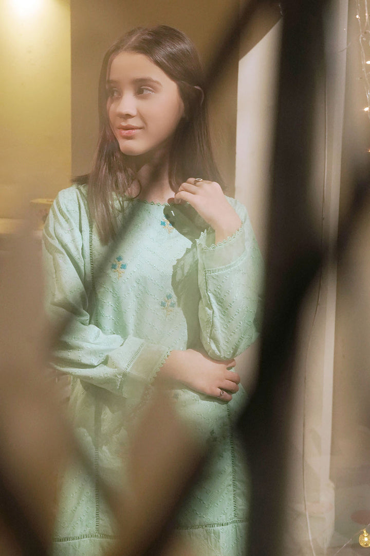 Chikankari Embroidered Mint Stitched Suit - Ochre