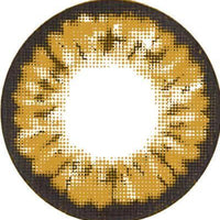 Two Tone Brown Eye Accessories