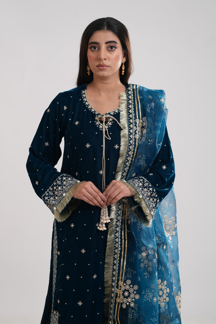 Design 2 - Jazmin Embroidered Formal Velvet Stitched