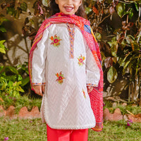 Chikankari Embroidered White Stitched Suit - Ochre