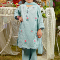 Chikankari Embroidered Blue Stitched Suit - Ochre