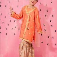 Cotton Silk Embellished Coral Stitched Suit - Ochre