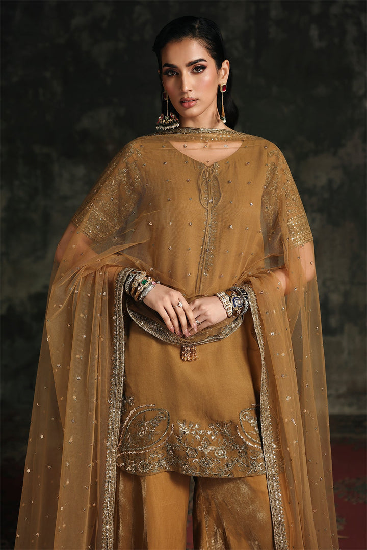 Chiffon Skin Stitched Suit - Charizma